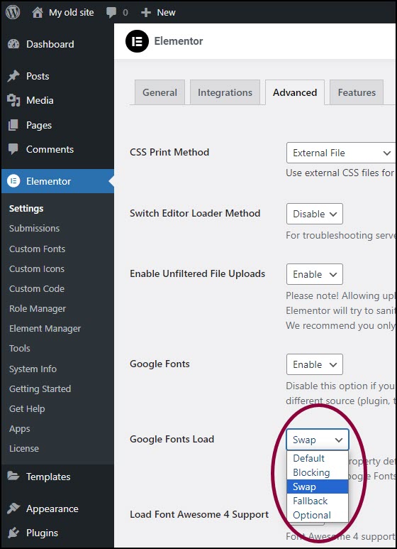 load google fonts locally